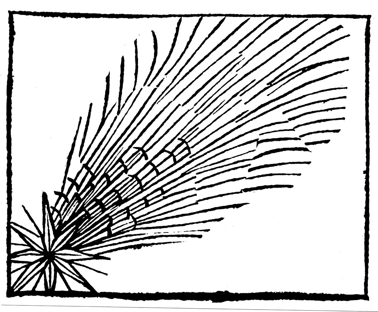 684 Halley Kuyruklu Yıldızı, 1493 by Unbekannt