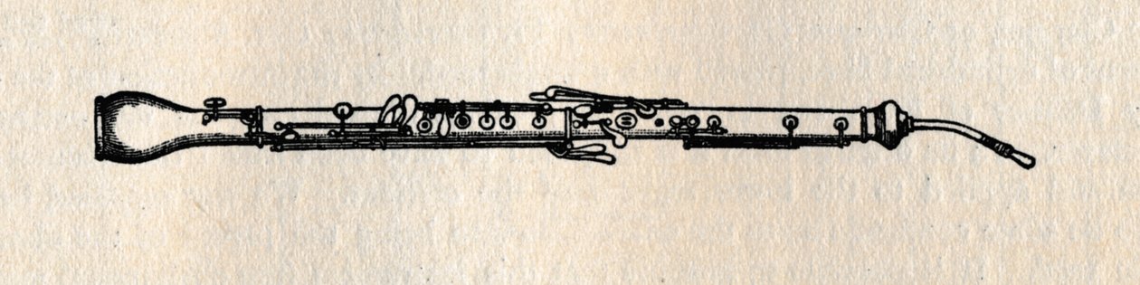 İngiliz Boynuzu, 1895. by Unbekannt