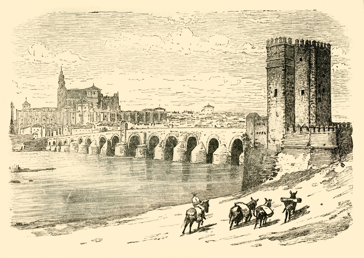 Cordova, 1890. by Unbekannt