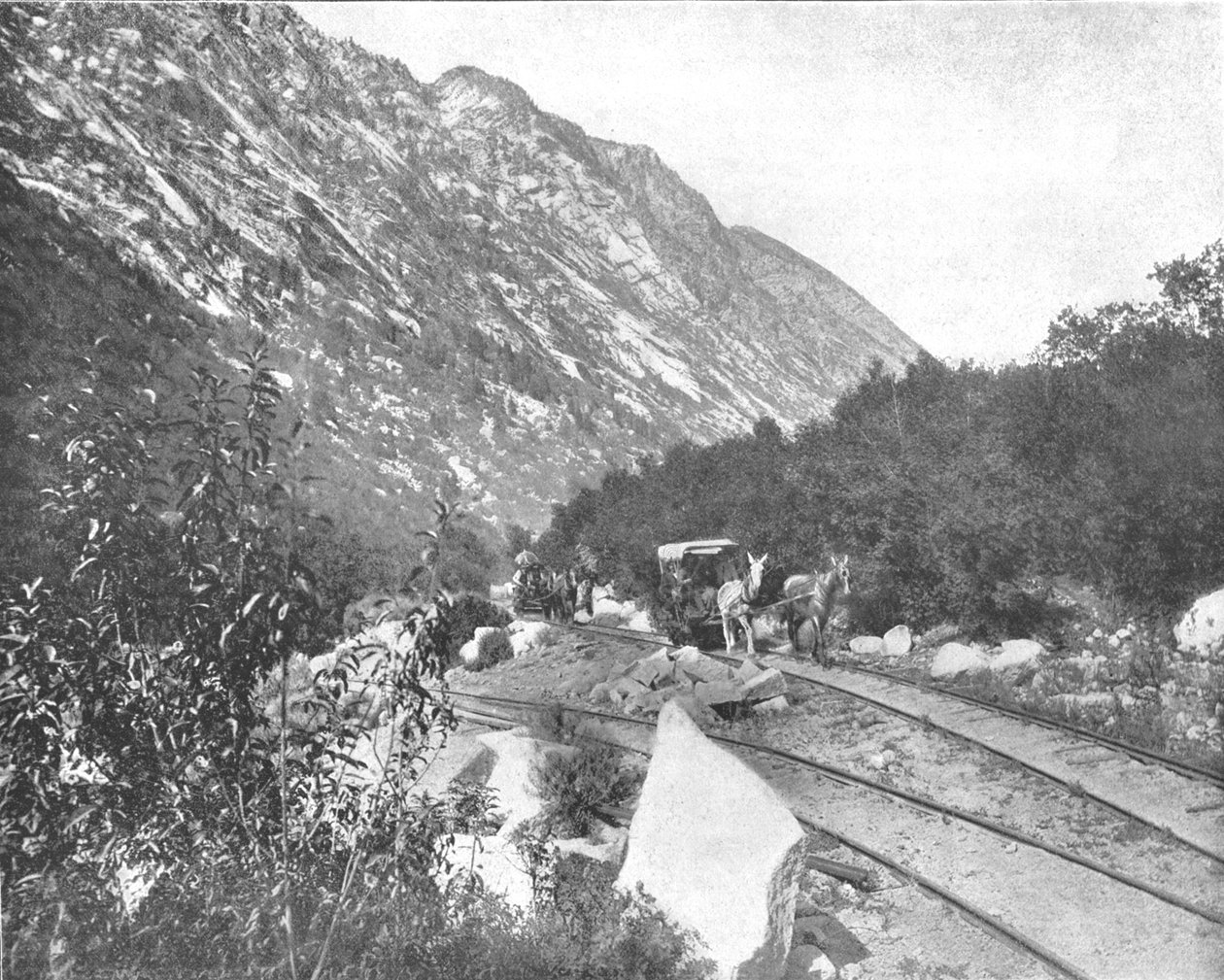 Cottonwood Kanyonu, Utah, ABD, c1900. by Unbekannt