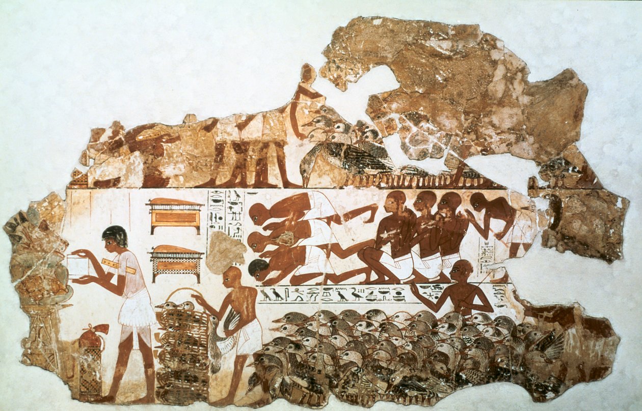 Kazları saymak: Nebamun, Thebes, Mısır, c1350 M.Ö. mezarından duvar resmi parçası by Unbekannt