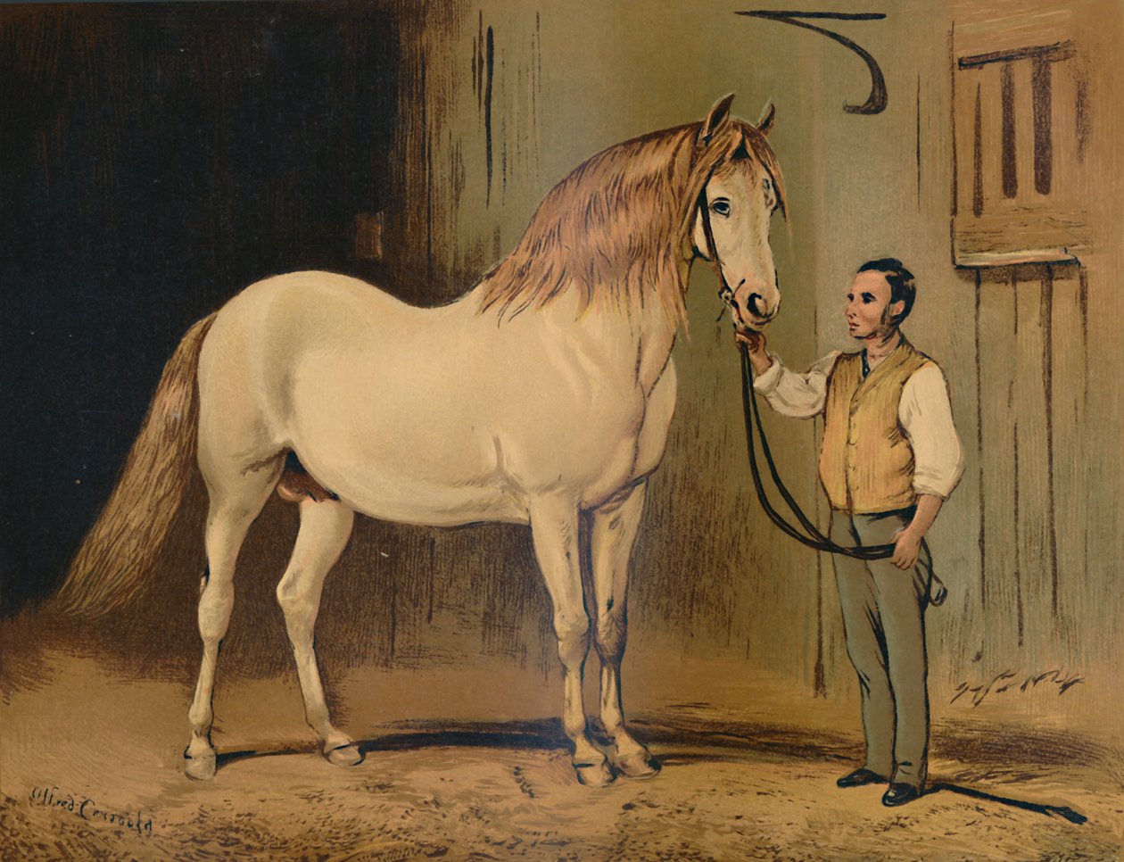 Krem Devlet Arabası Atı. Majestelerinin Stud