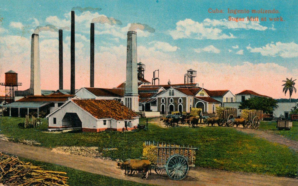 Küba: Ingenio moliendo. Şeker Fabrikası iş başında, c1900 by Unbekannt