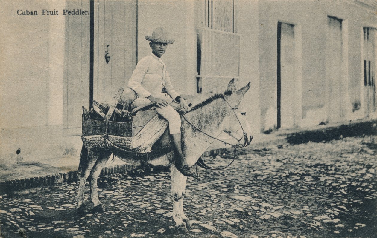 Küba Meyve Satıcısı, c1908 by Unbekannt