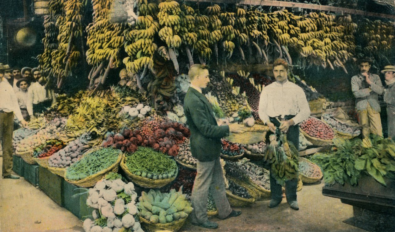 Küba Meyve Mağazası, c1910 by Unbekannt