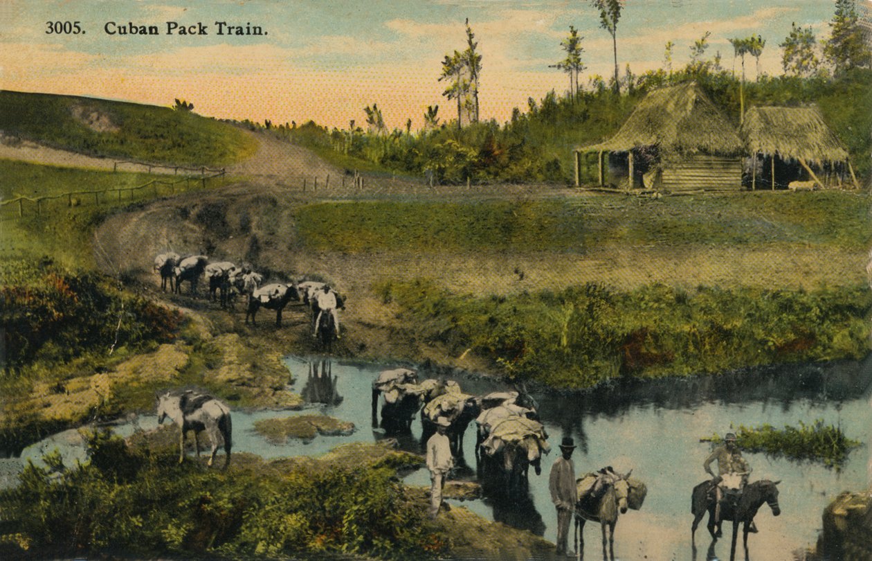 Küba Paketi Treni, c1910 by Unbekannt