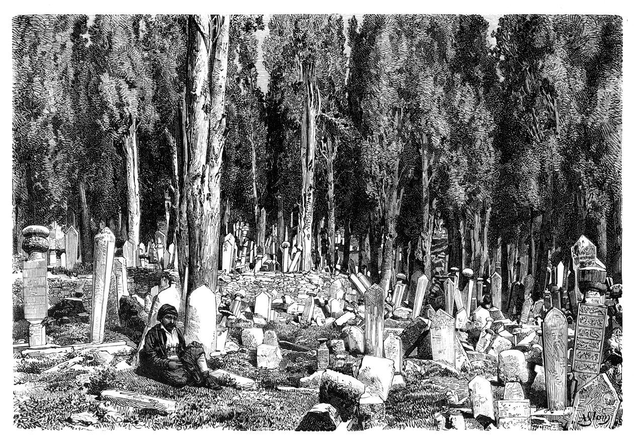 Üsküdar mezarlığındaki servi ağaçları, Türkiye, 1895 by Unbekannt
