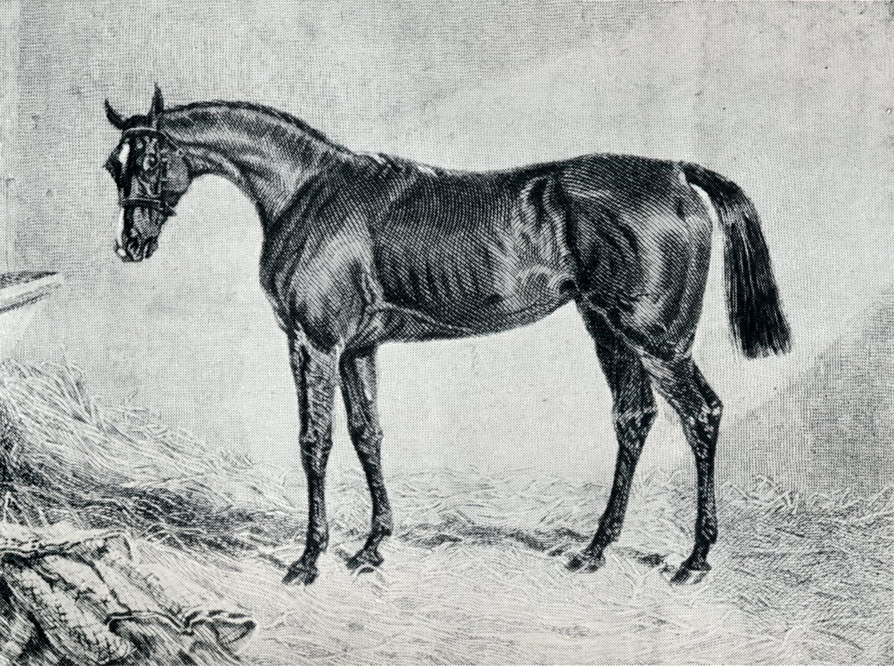 Kıbrıslı, 19. yüzyıl, 1911 by Unbekannt