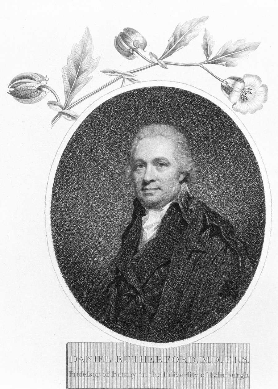 Daniel Rutherford, 18. yüzyılın sonlarında by Unbekannt