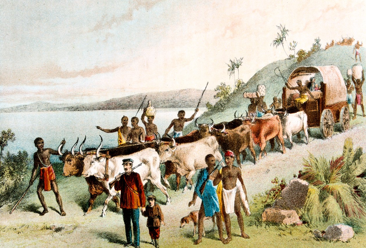David Livingstone, İskoç misyoner ve Afrikalı kaşif, 1849 c1878 by Unbekannt