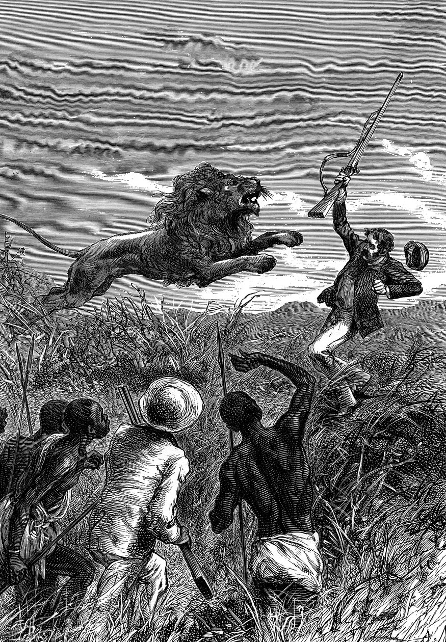 David Livingstone, İskoç misyoner ve Afrikalı kaşif, bir aslan tarafından suçlanıyor, c1860 by Unbekannt