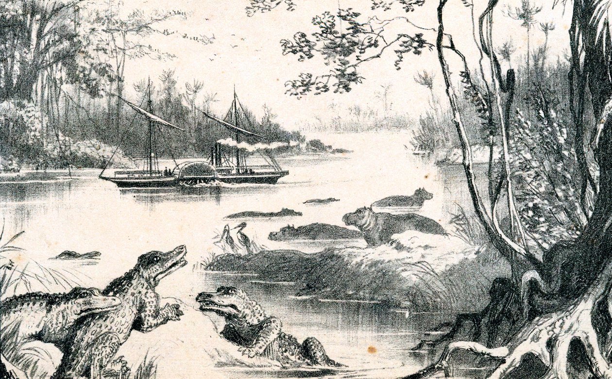 David Livingstone Zambezi