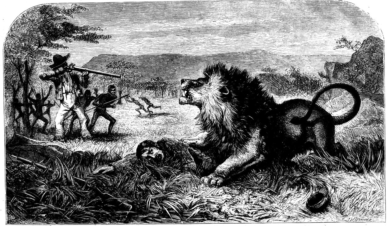 David Livingstone, yerli bir öğretmen olan Mebalwe tarafından bir aslandan kurtarıldı, 1857 by Unbekannt