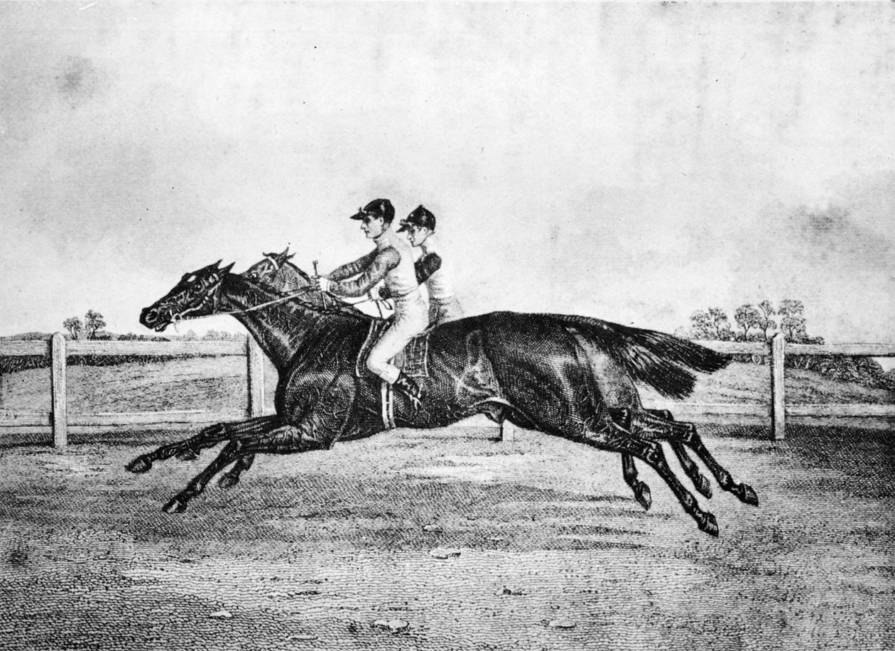 Lanercost ve Beeswing arasındaki Ölü Isı, 1835-1850, 1911 by Unbekannt