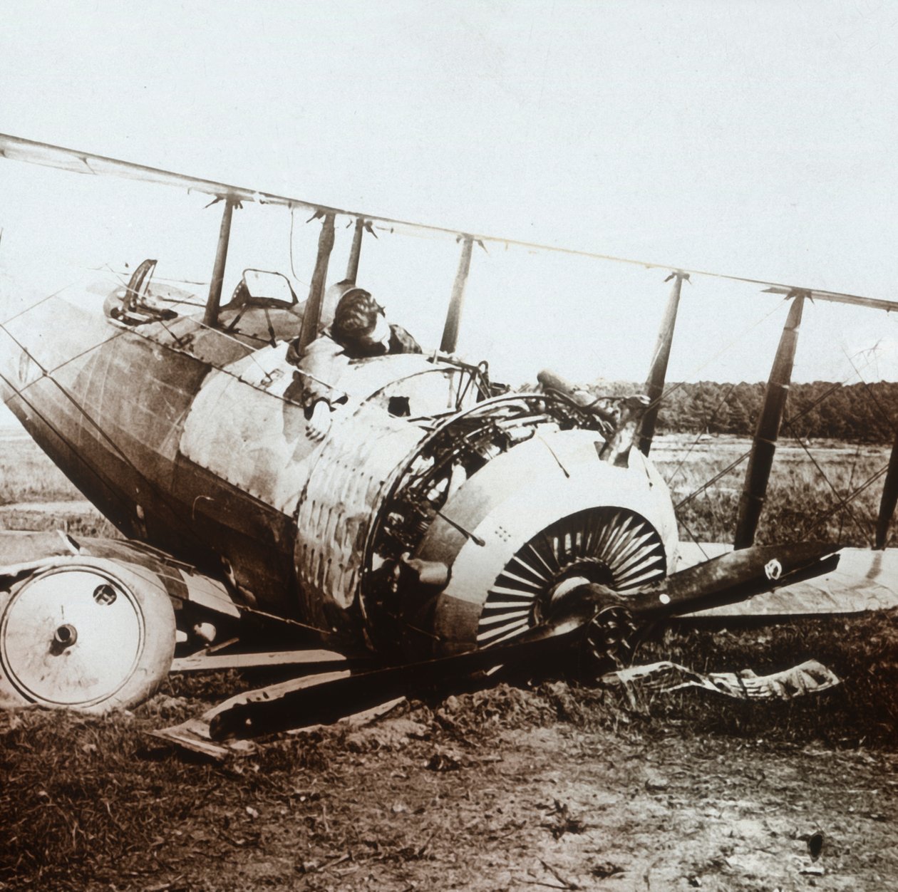 Düşen Salmson uçağında ölü pilot, c1914-c1918 by Unbekannt