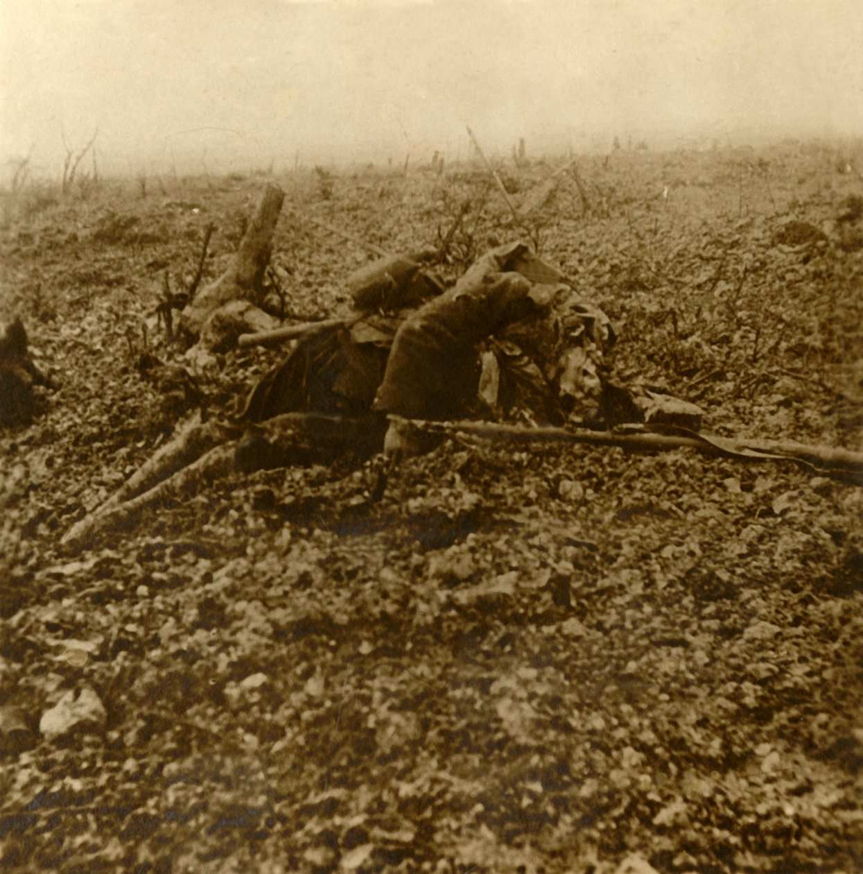 Verdun Savaşı