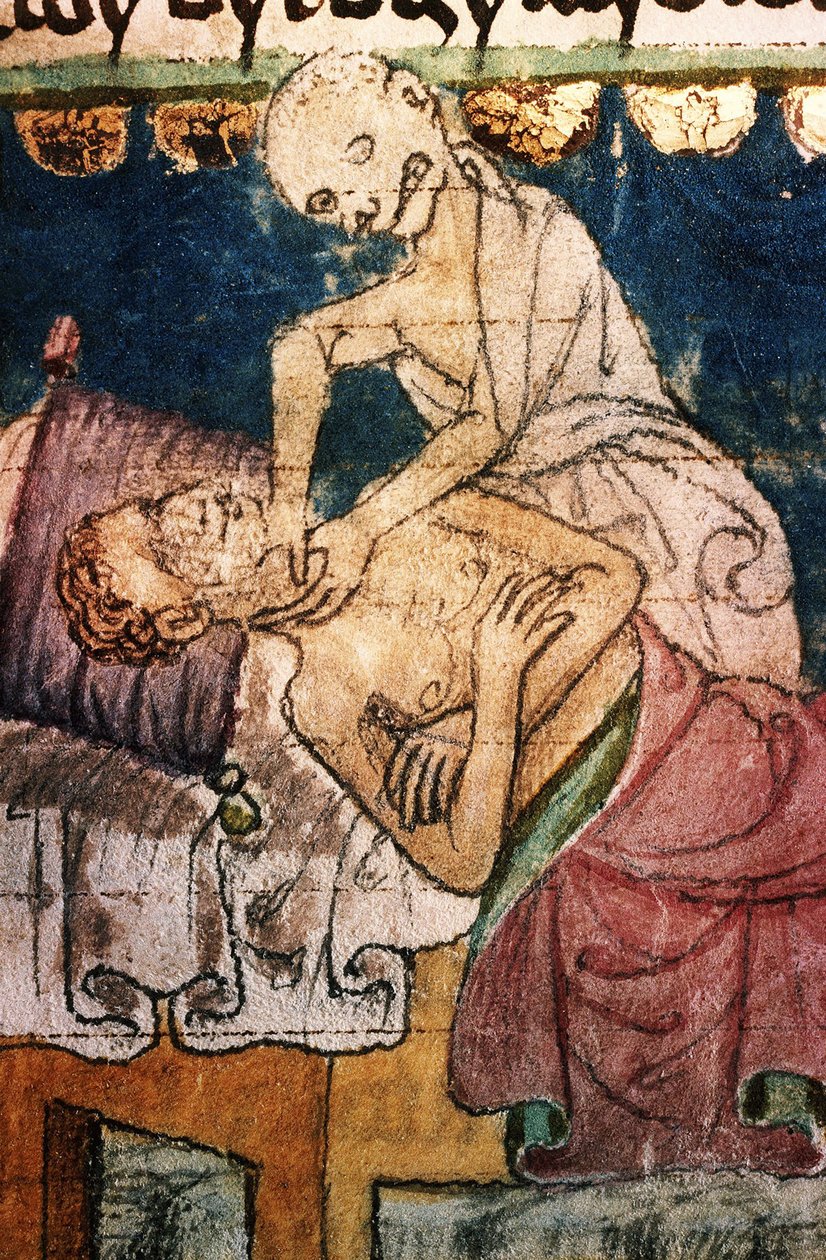 Veba Kurbanını Boğan Ölüm. Stiny Codex