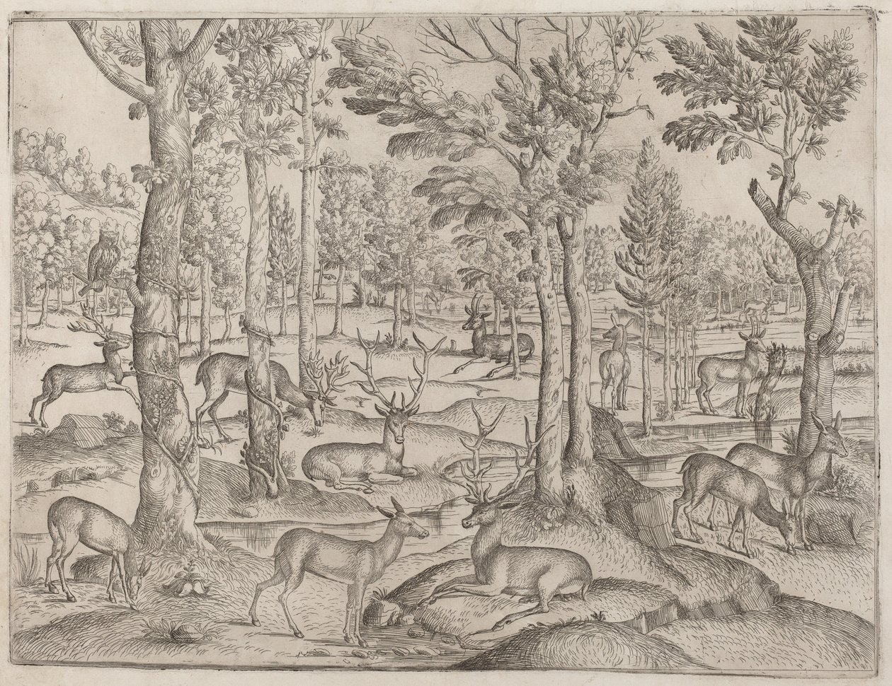 Ormanda Geyik, c. 1520. by Unbekannt