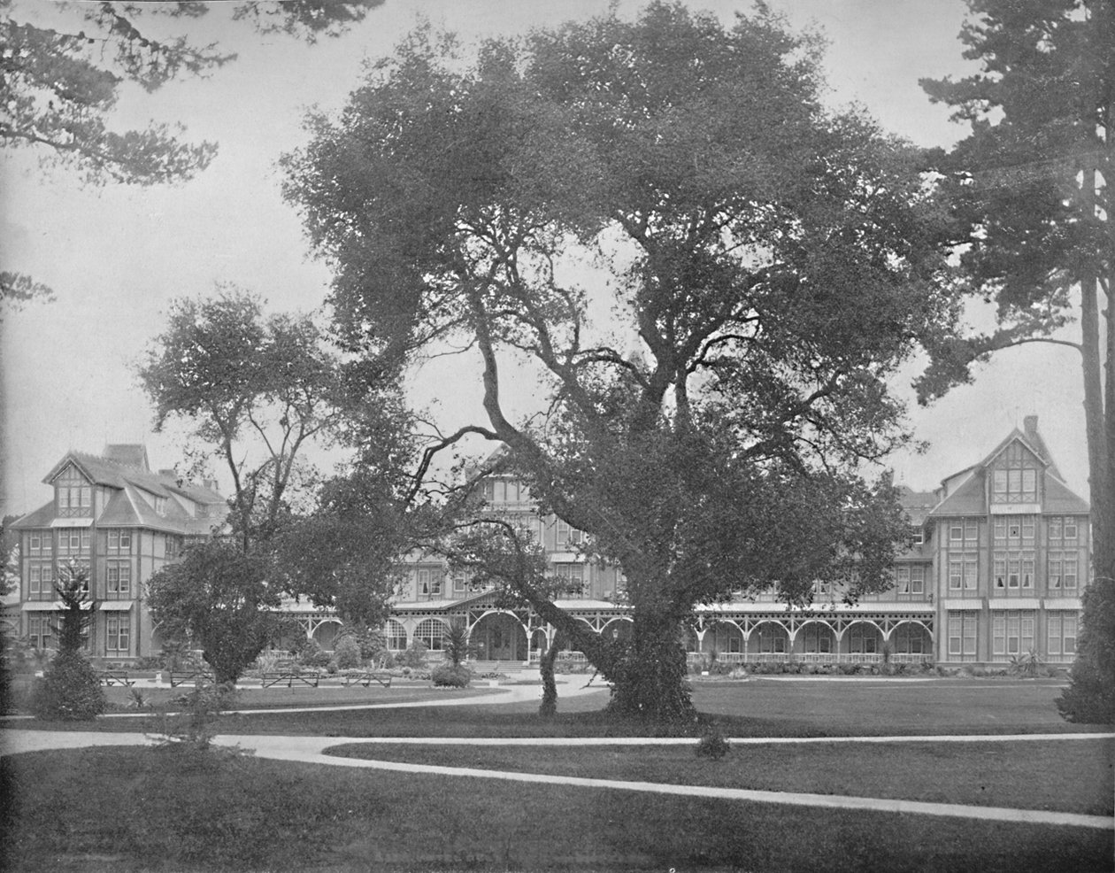 Del Monte, Monterey, Kaliforniya, c1897. by Unbekannt