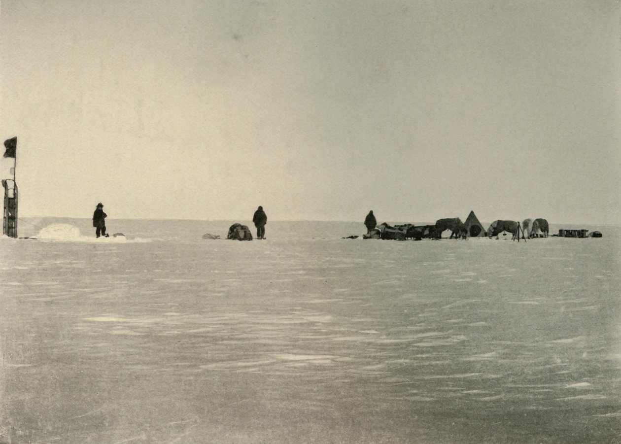 Depo A, İlkbaharda Düzenlendi, 1908, 1909. by Unbekannt