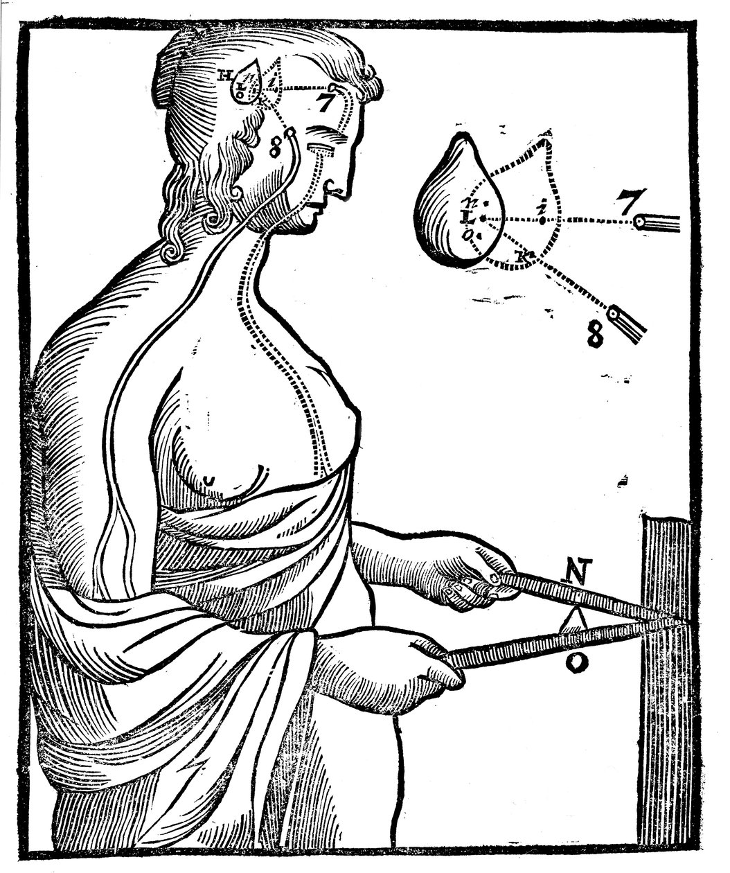 Descartes gözün uyarıyı beyne nasıl ilettiği ve böylece istemli bir hareketi nasıl yönlendirdiği fikri, 1692 by Unbekannt