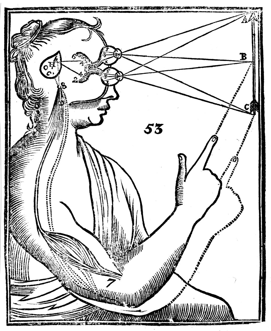 Descartes görme fikri, 1692 by Unbekannt