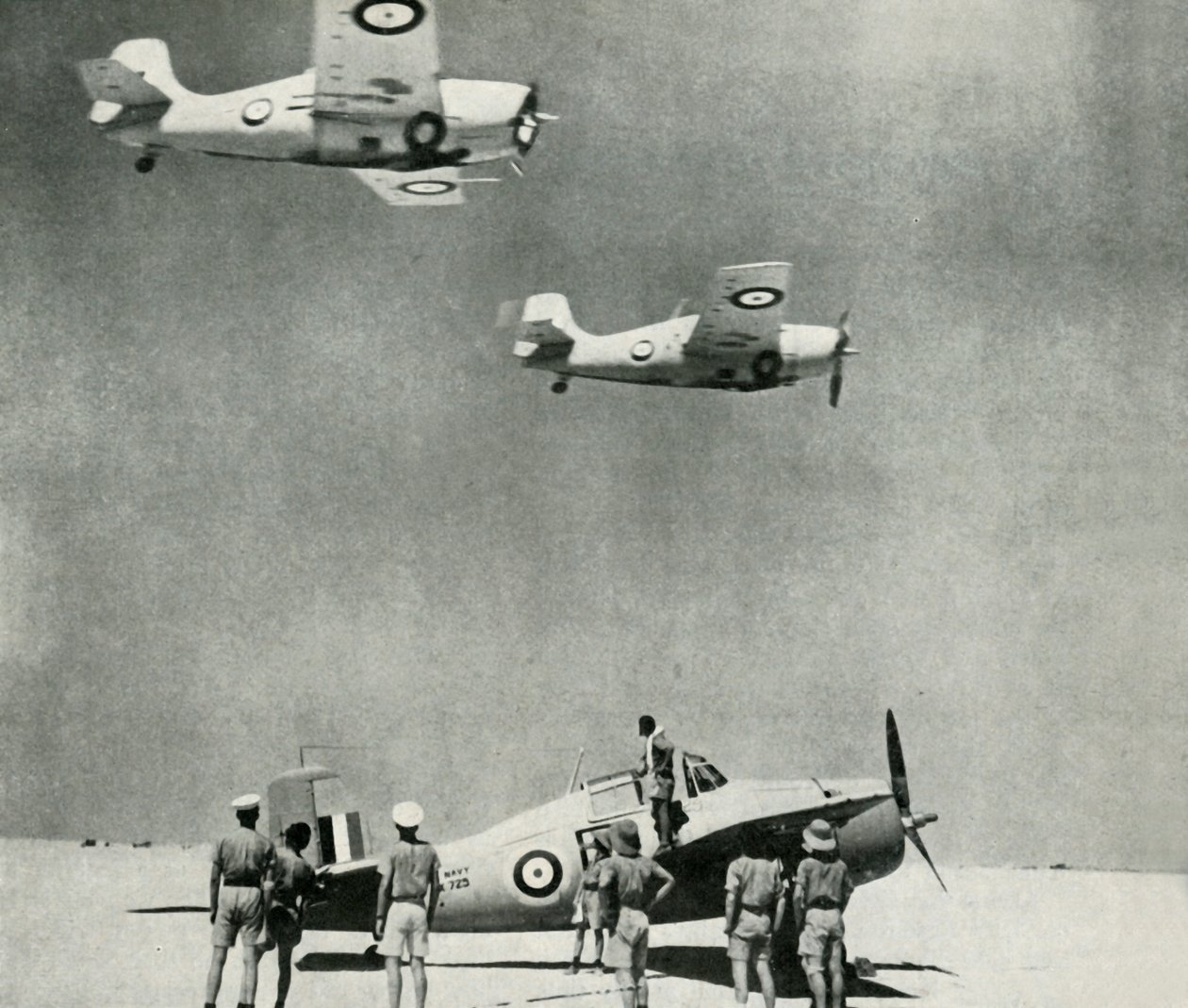 Çöl Filosu - İkinci Dünya Savaşı sırasında Filo Hava Kolunun uçakları, c1943. by Unbekannt