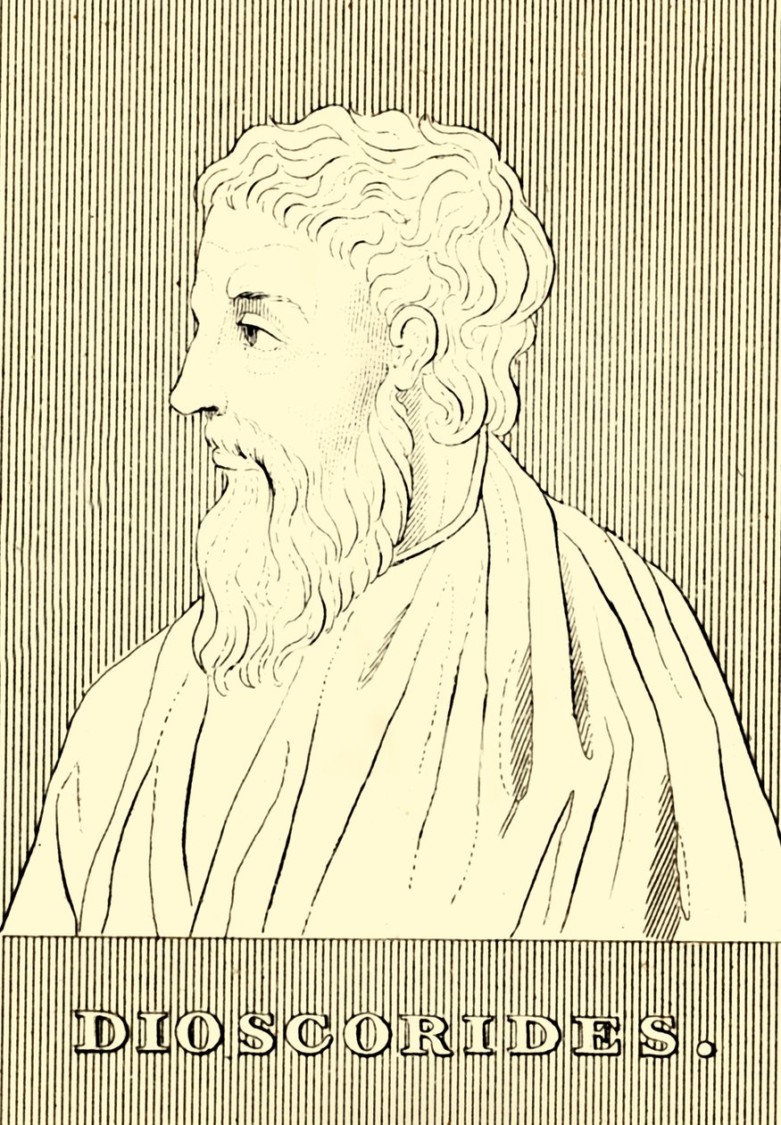 Dioscorides, c40-90 AD, 1830 by Unbekannt