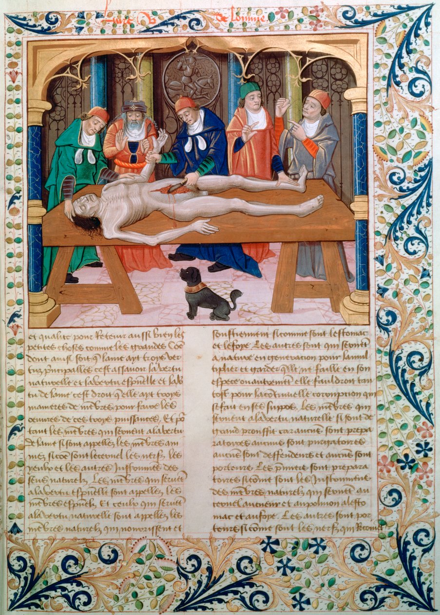 Diseksiyon, 15. yüzyılın sonlarında by Unbekannt