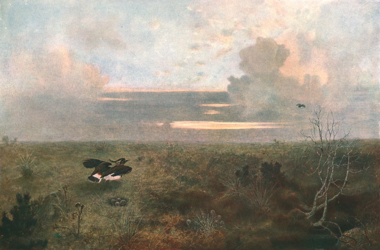 Rahatsız: Yuvasından Yükselen Bir Cılız, 1879, c1902. by Unbekannt