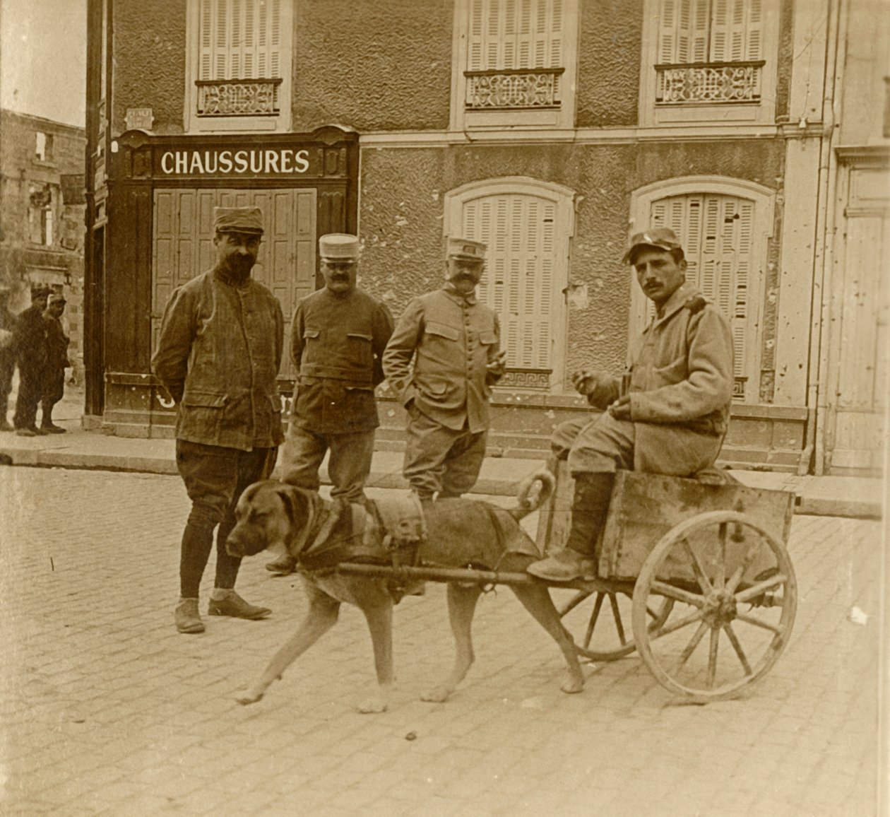 Köpek arabası, Fransa, c1914-c1918 by Unbekannt