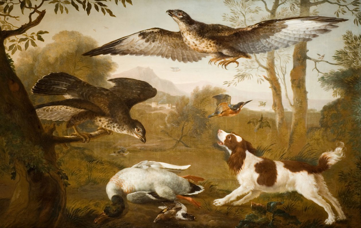 Birds of Prey