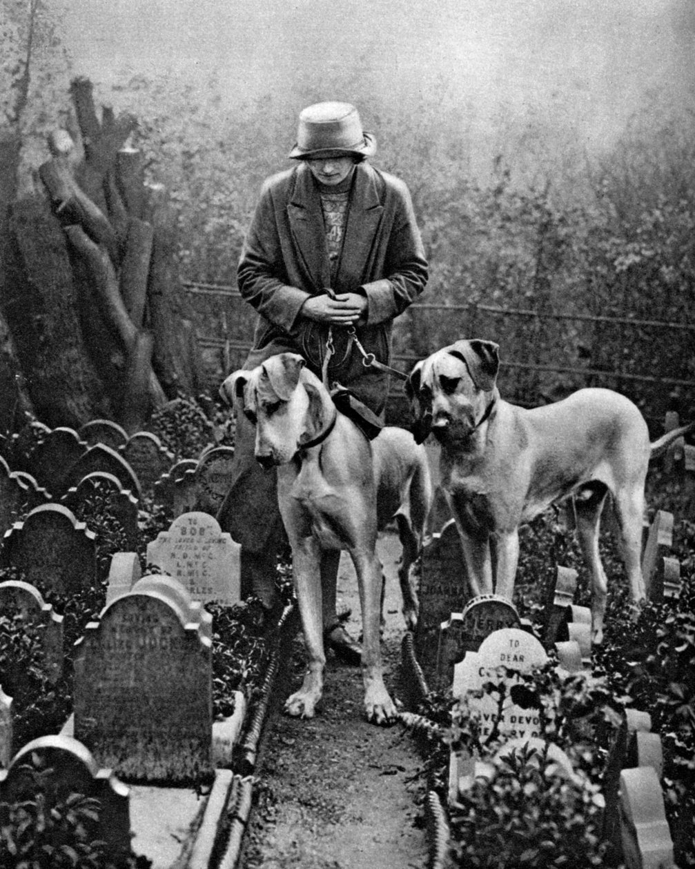 Köpek mezarlığı, Victoria Gate, Bayswater, Londra, 1926-1927 by Unbekannt