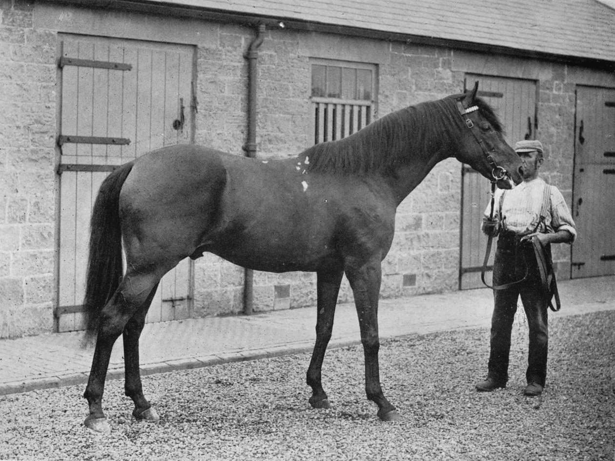 Donovan, 1886-1905, 1911 by Unbekannt