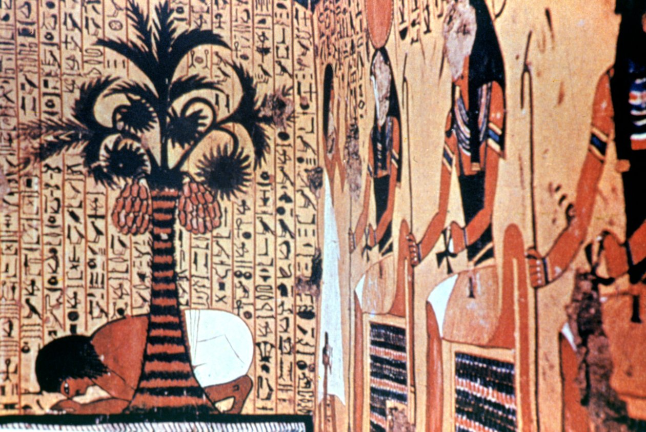 Nehirden içmek, tapınak duvar resmi, Thebes, Mısır by Unbekannt