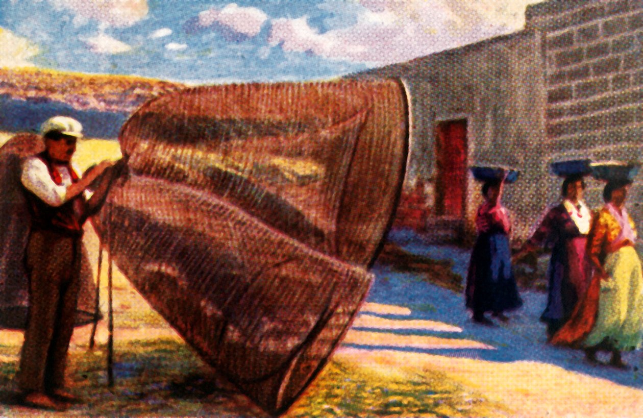 Ağları kurutmak, Malta, c1928. by Unbekannt