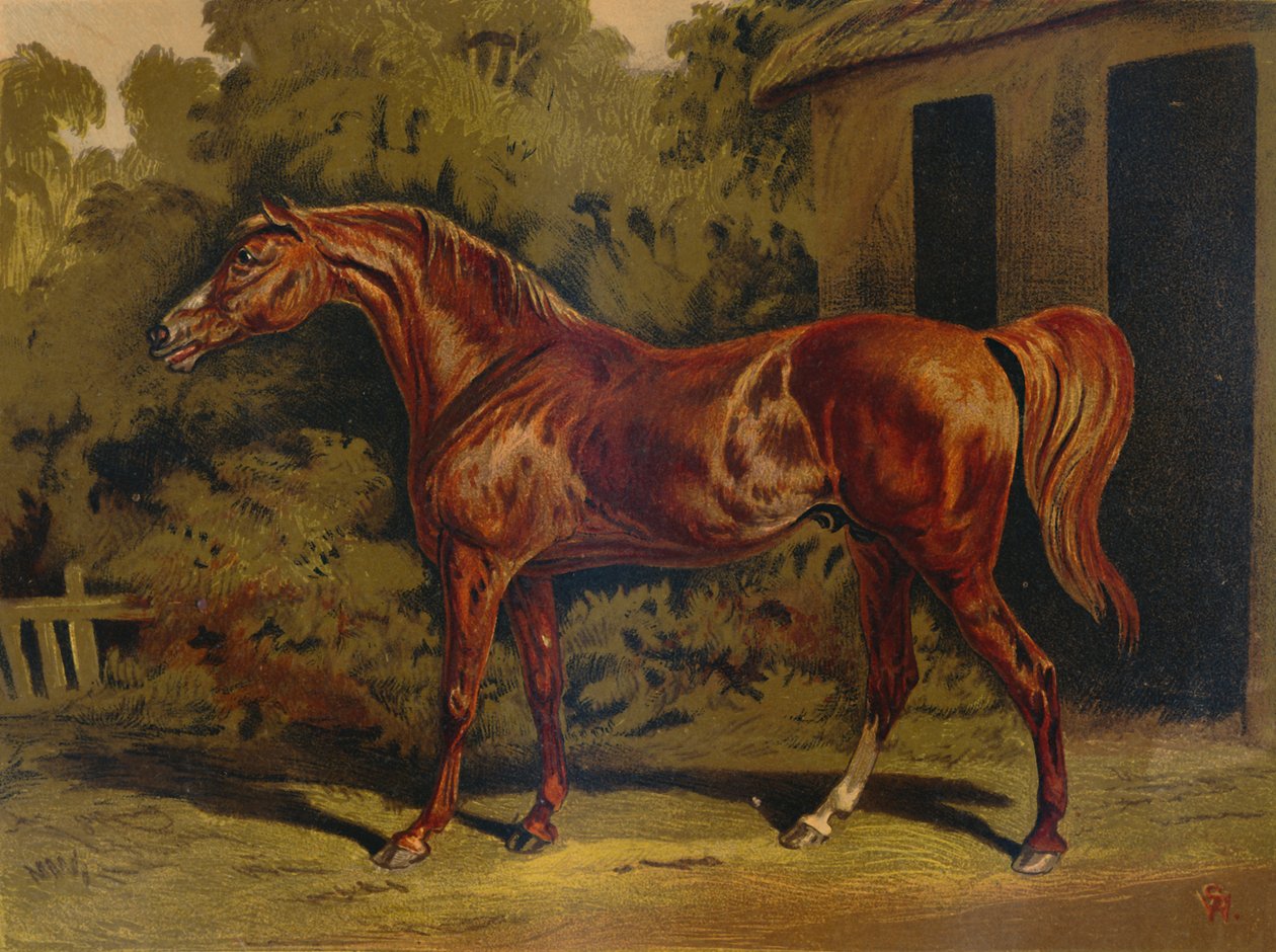 Tutulma, c1879. by Unbekannt
