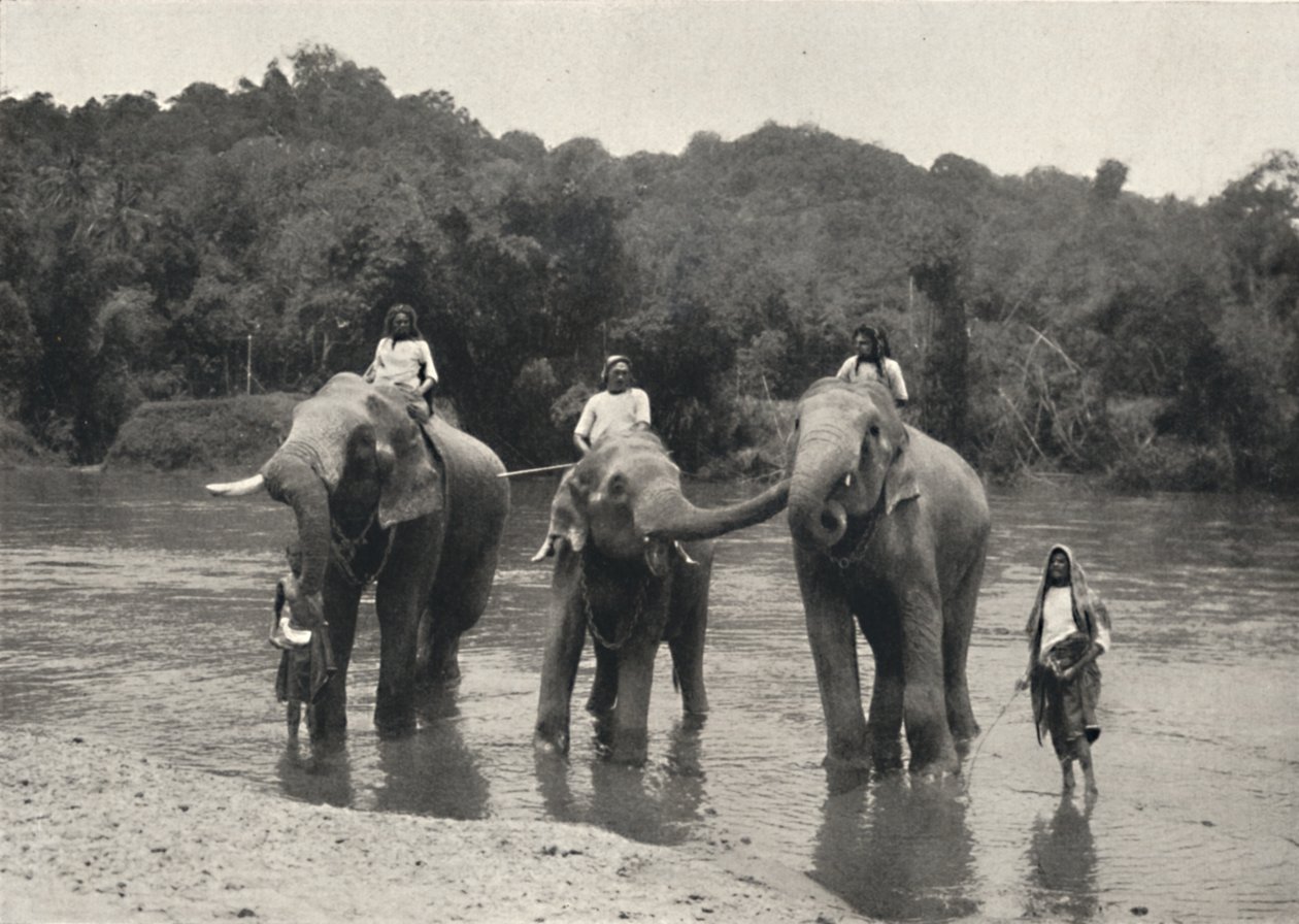 Mahaaliganga