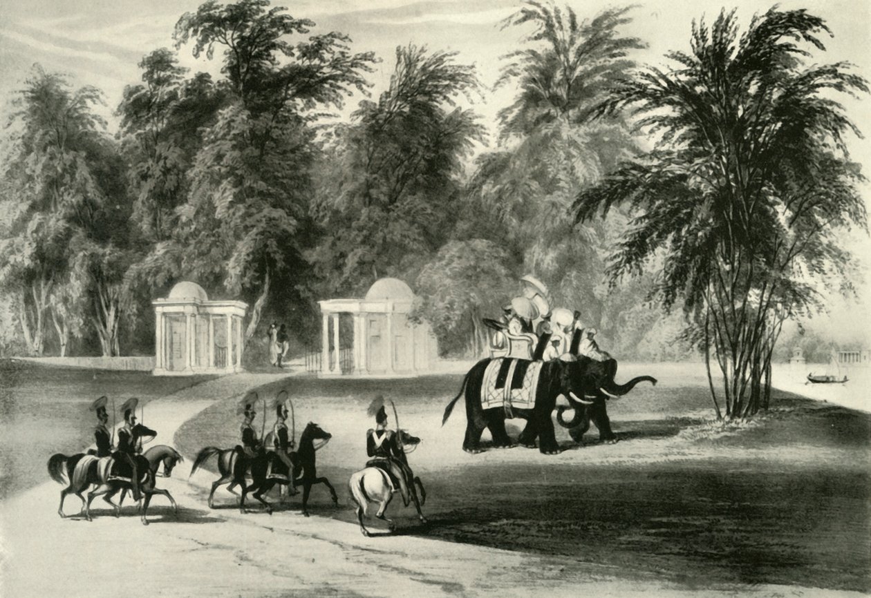 Barrackpore Park'ta Filler ve Koruma, 1820, 1925. by Unbekannt
