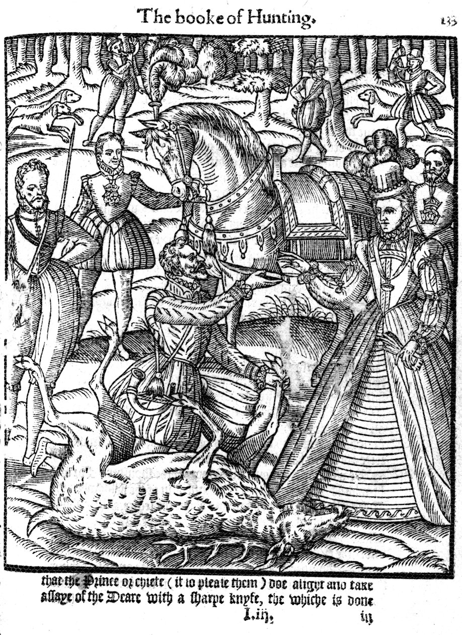 Elizabeth, 1576 geyik tahlili törenini gerçekleştiren by Unbekannt