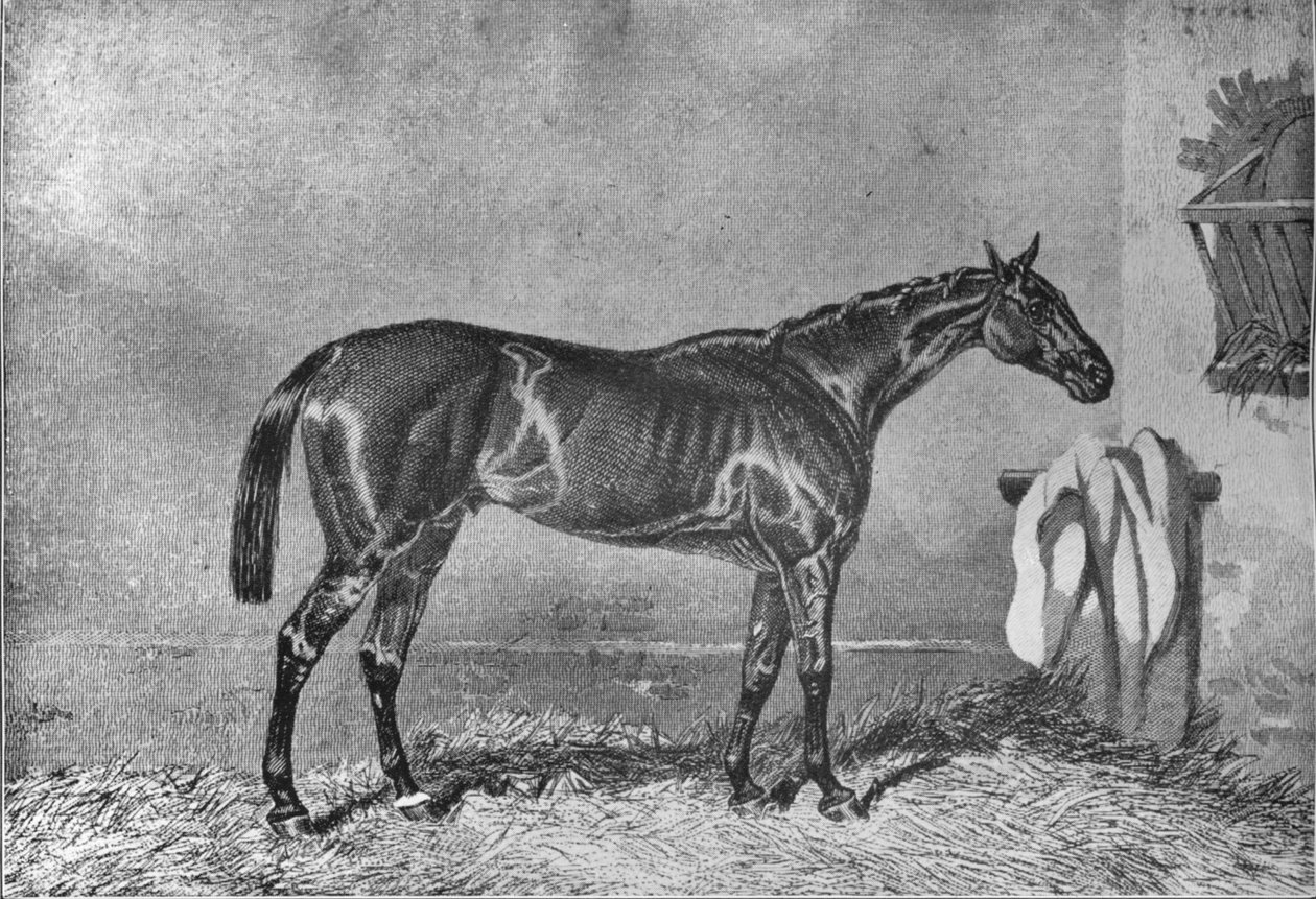 Ellington, 1853-1870, 1911 by Unbekannt