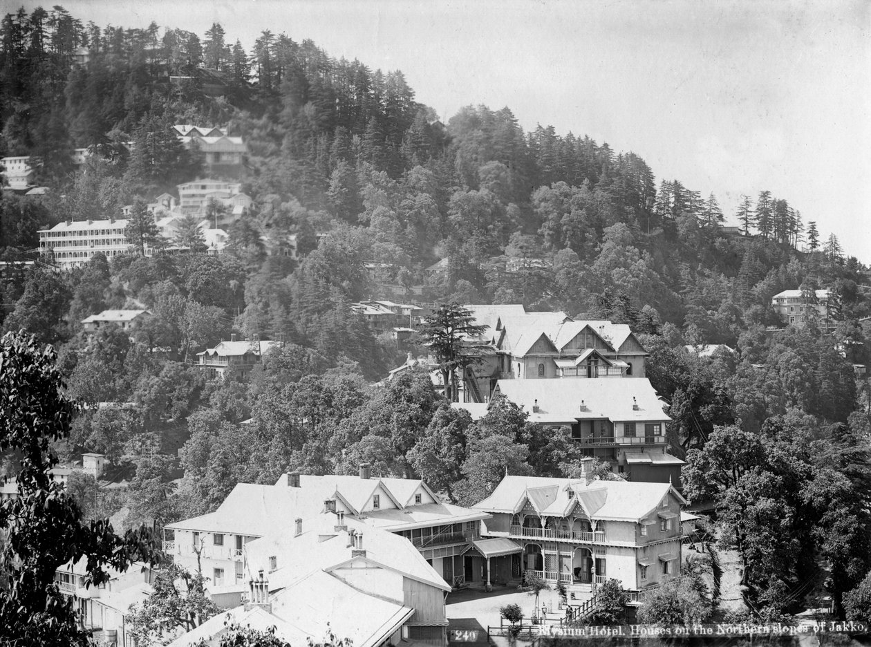 Elysium Hotel, Jakko