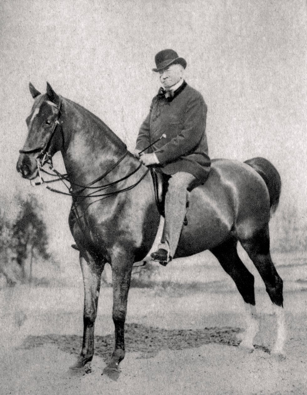 Emile de Girardin, Fransız gazeteci, yayıncı ve politikacı, 1866 by Unbekannt