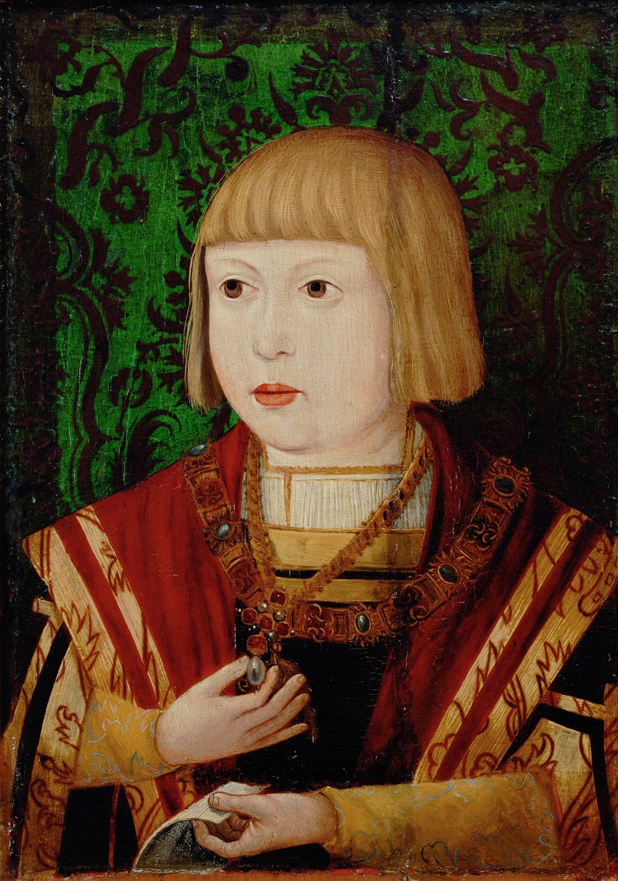 İmparator Ferdinand I 1503-1564, on veya on iki yaşında, c. 1520 by Unbekannt