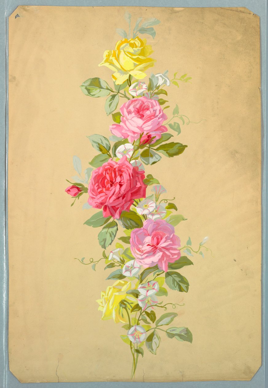Türkçe: Çizim, Saint Germain