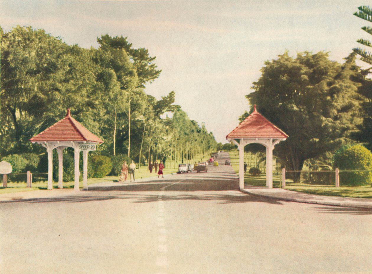 Kings Park