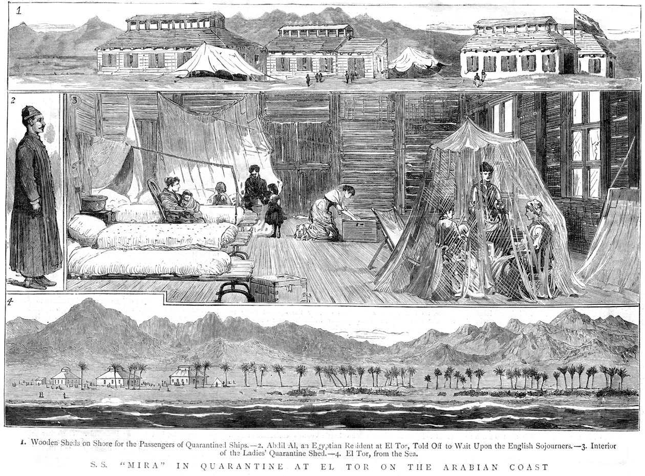 Avrupalılar, Kuzey Afrika, El Tor