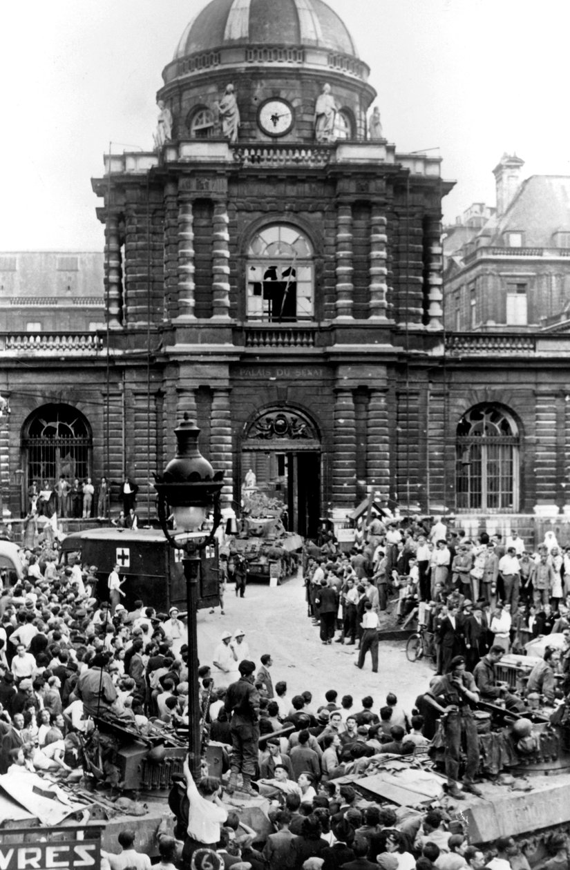 Senato