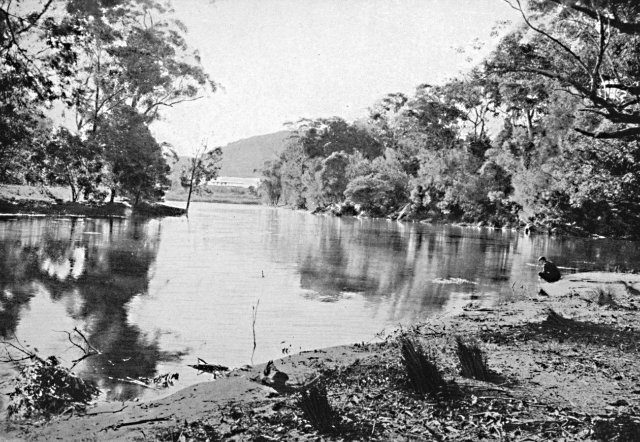 Akşam Gölgeleri, Milli Park, c1900. by Unbekannt