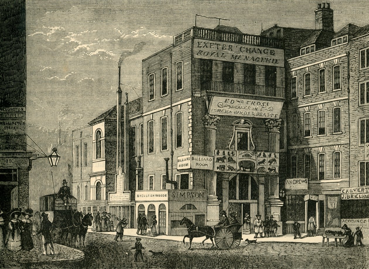 1826, 1881